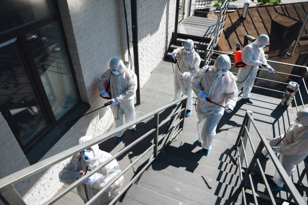 Best Indoor Air Quality Assessment  in Stone Ridge, NY