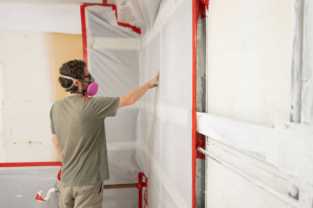 Best Forensic Mold Investigation  in Stone Ridge, NY