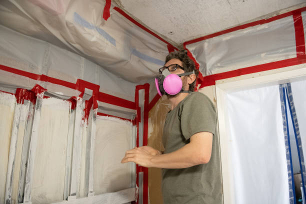 Best Water Damage & Mold Remediation  in Stone Ridge, NY