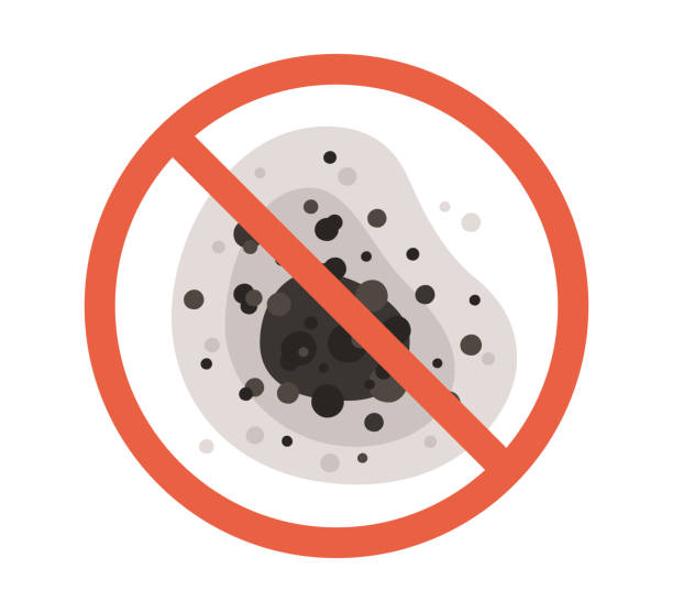 Environmental Consulting for Mold Prevention in Stone Ridge, NY