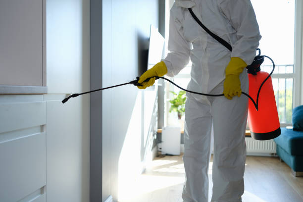 Mold Removal for HVAC Installations in Stone Ridge, NY
