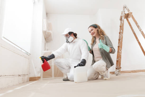 Best Comprehensive Air Testing for Mold Contaminants  in Stone Ridge, NY