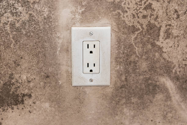  Stone Ridge, NY Mold Removal Pros