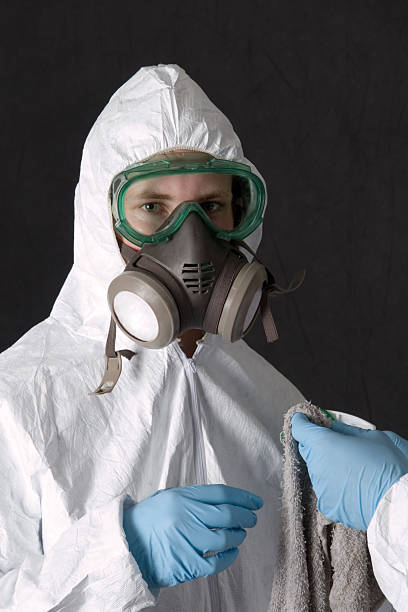 Best Black Mold Removal  in Stone Ridge, NY